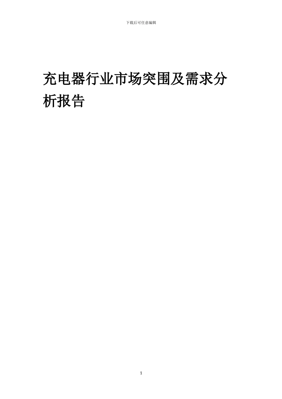 2024年充电器行业市场突围及需求分析报告_第1页
