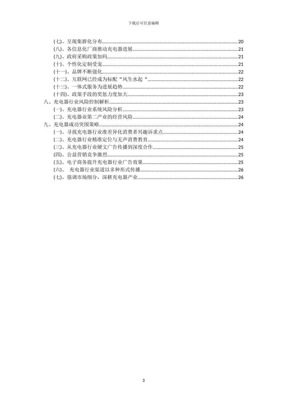 2024年充电器行业市场突围及需求分析报告_第3页