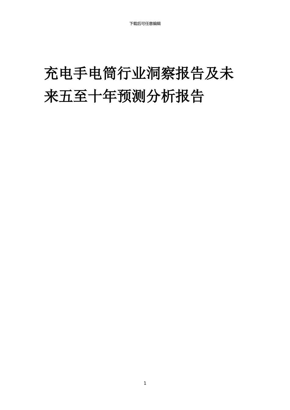 2024年充电手电筒行业洞察报告及未来五至十年预测分析报告_第1页