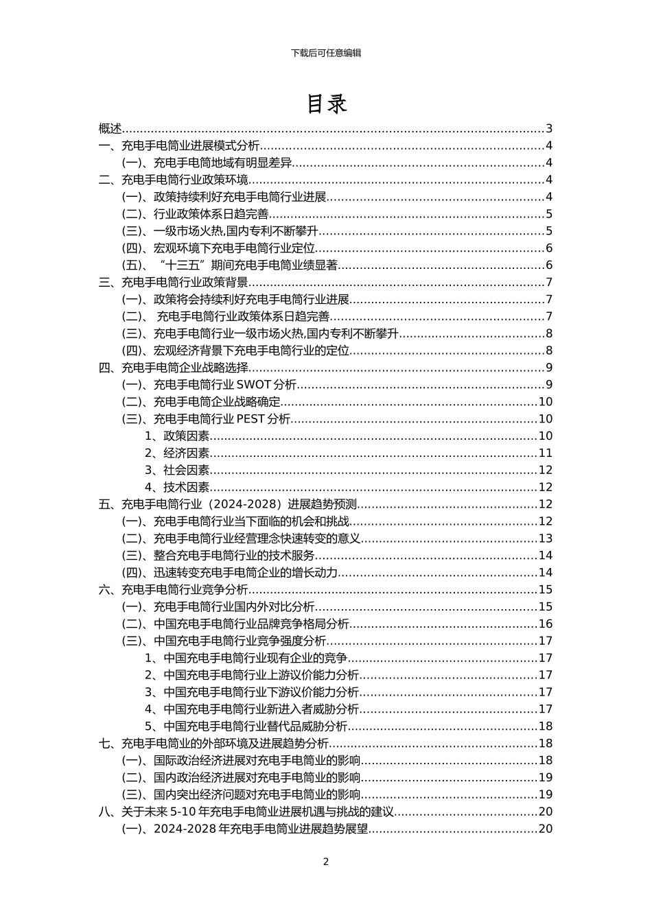2024年充电手电筒行业洞察报告及未来五至十年预测分析报告_第2页