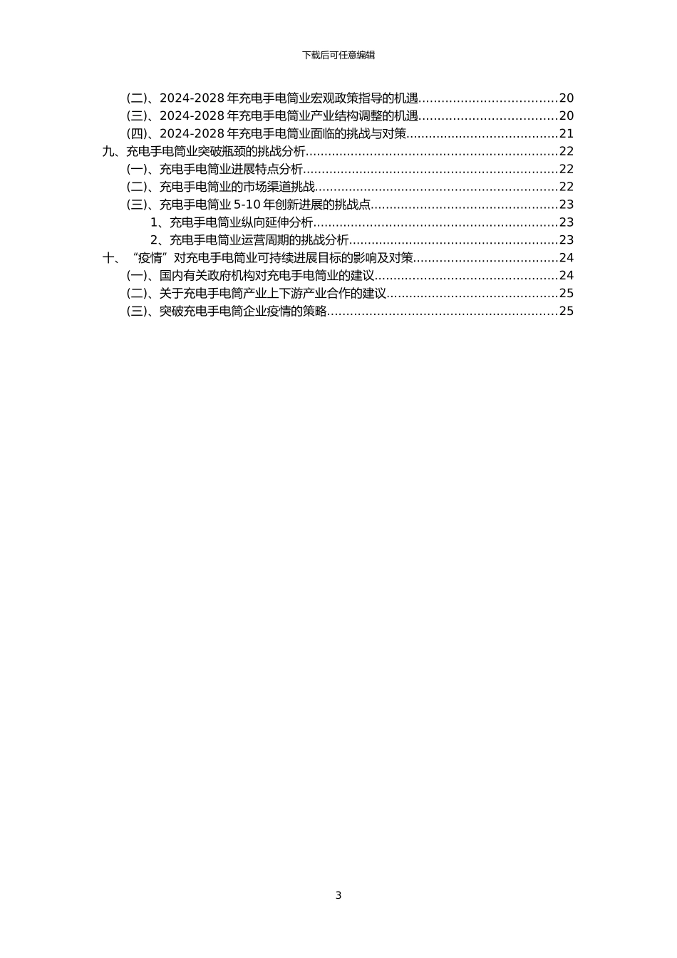 2024年充电手电筒行业洞察报告及未来五至十年预测分析报告_第3页