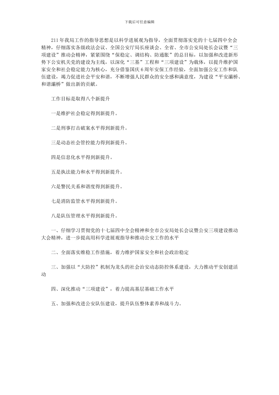 2024年公安局分局工作要点_第1页