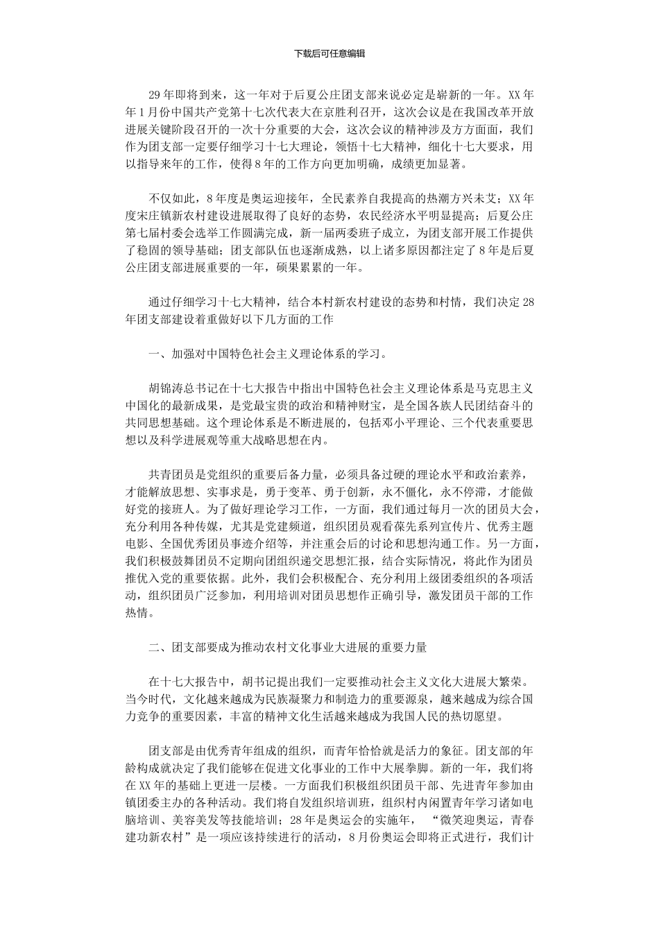 2024年农村团支部工作计划_第1页