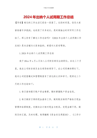 2024年出纳个人试用期工作总结