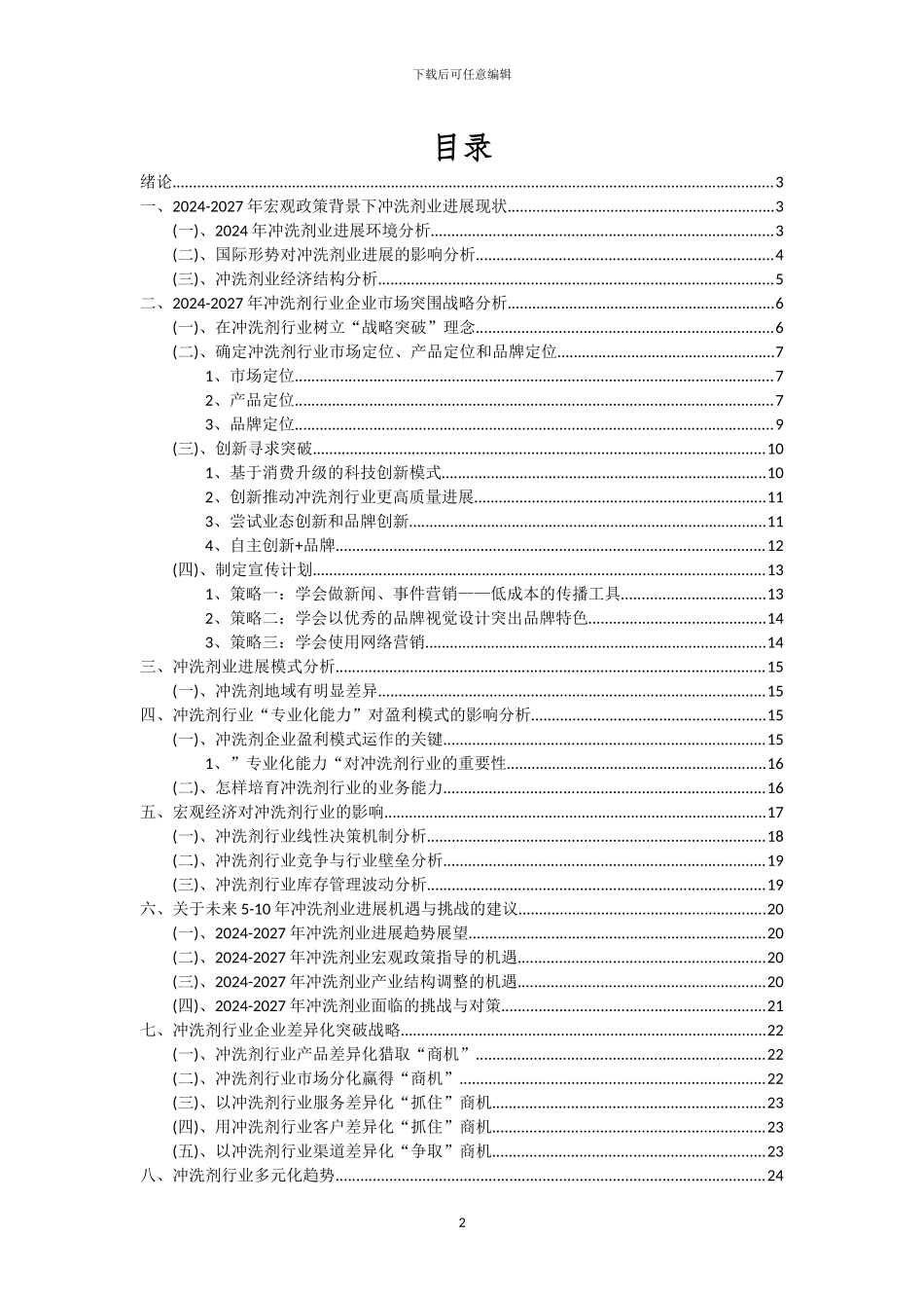 2024年冲洗剂行业市场突围及需求分析报告_第2页