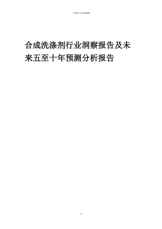 2024年合成洗涤剂行业洞察报告及未来五至十年预测分析报告