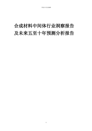 2024年合成材料中间体行业洞察报告及未来五至十年预测分析报告