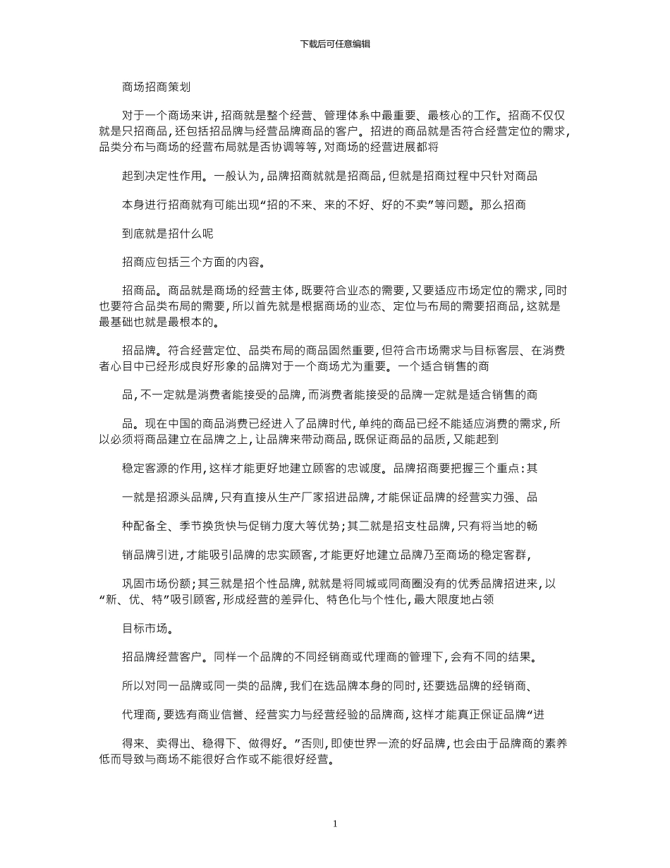 2024年商场招商策划_第1页