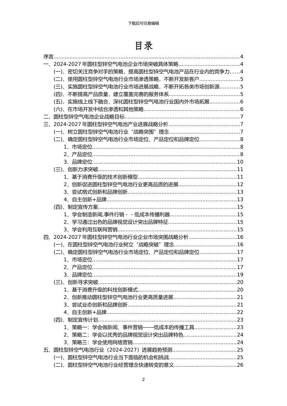 2024年圆柱型锌空气电池行业市场突围建议及需求分析报告_第2页