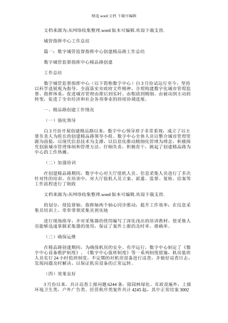 2024年城管指挥中心工作总结