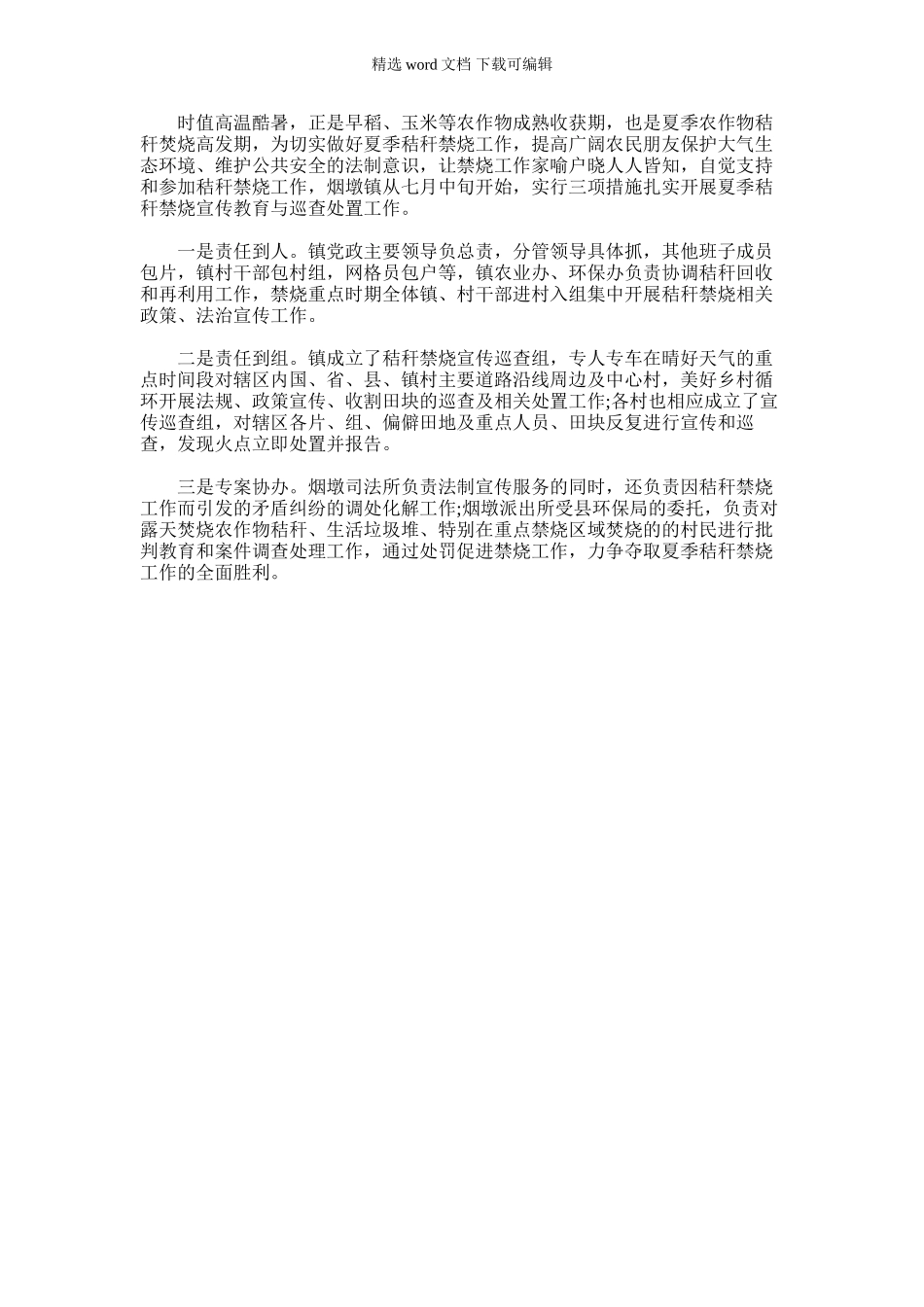 2024年夏季秸秆禁烧宣传巡查活动总结_第1页