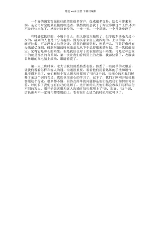 2024年天猫客服年终总结