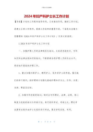 2024年妇产科护士长工作计划