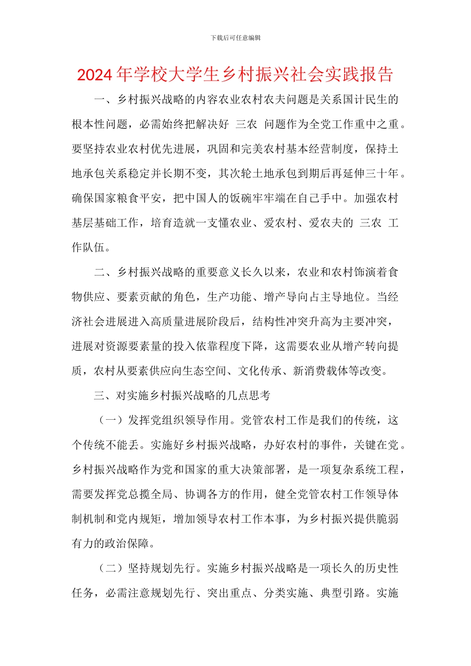 2024年学校大学生乡村振兴社会实践报告_第1页