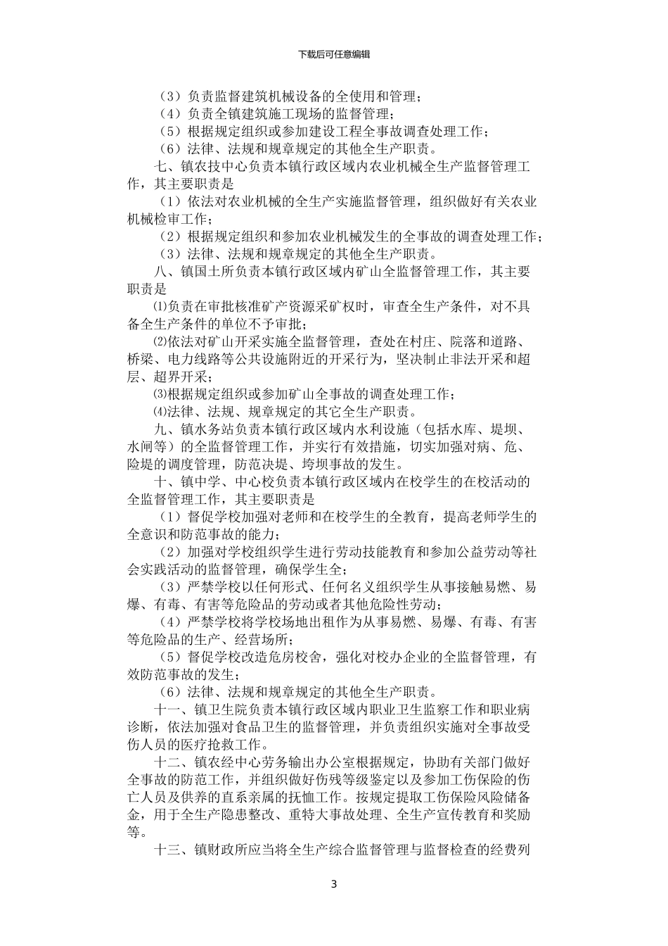 2024年安全生产职责实施制度_第3页