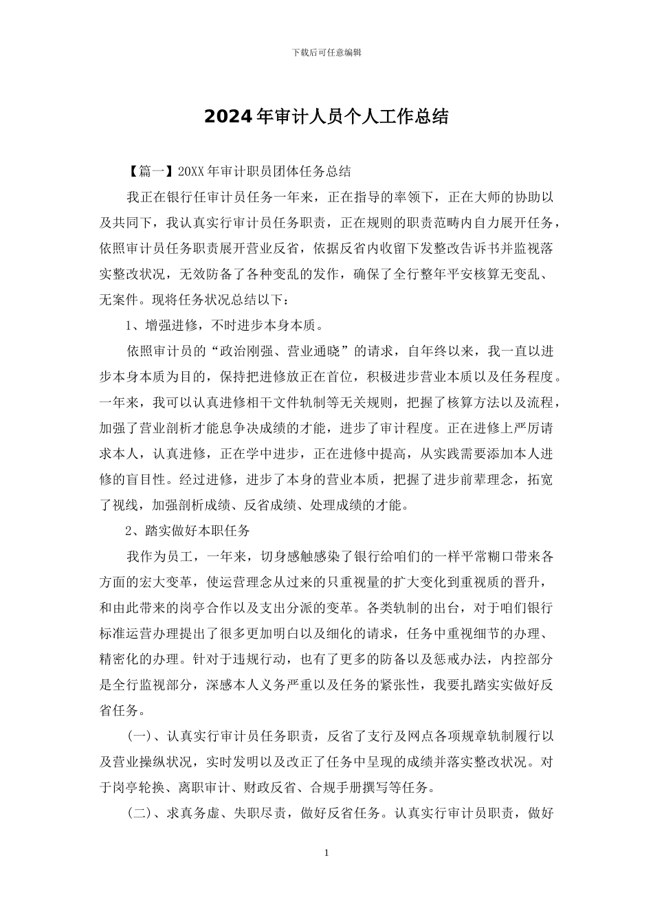 2024年审计人员个人工作总结_第1页