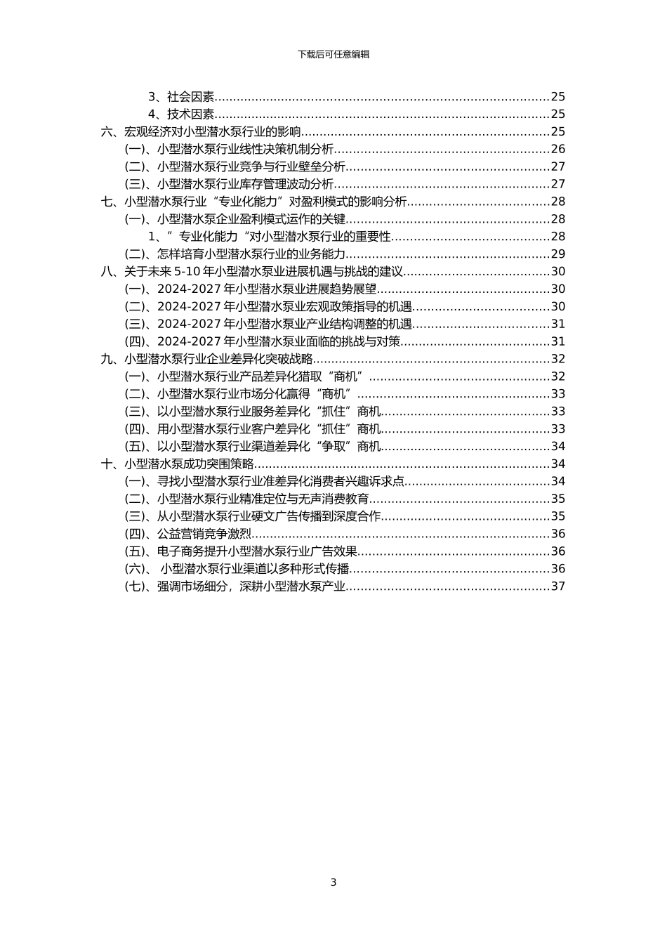 2024年小型潜水泵行业洞察报告及未来五至十年预测分析报告_第3页