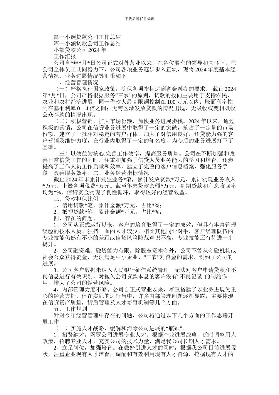 2024年小额贷款公司工作总结_第1页