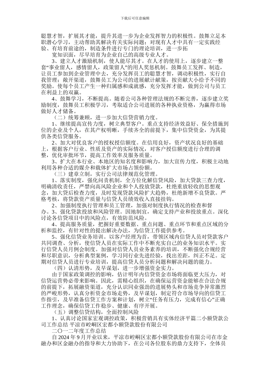 2024年小额贷款公司工作总结_第2页