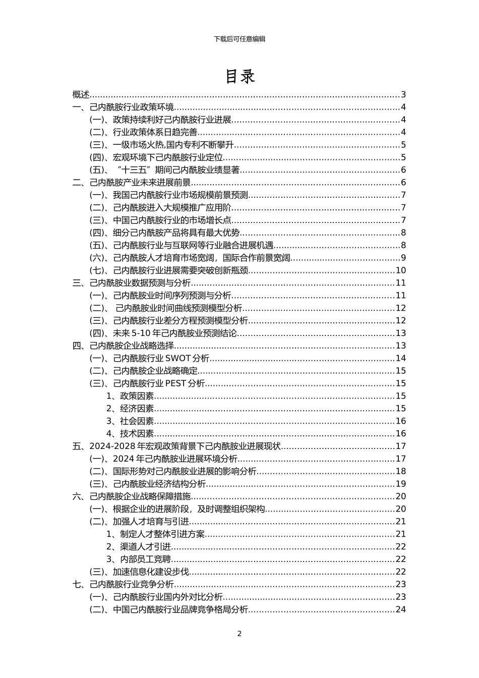 2024年己内酰胺行业市场突围建议及需求分析报告_第2页