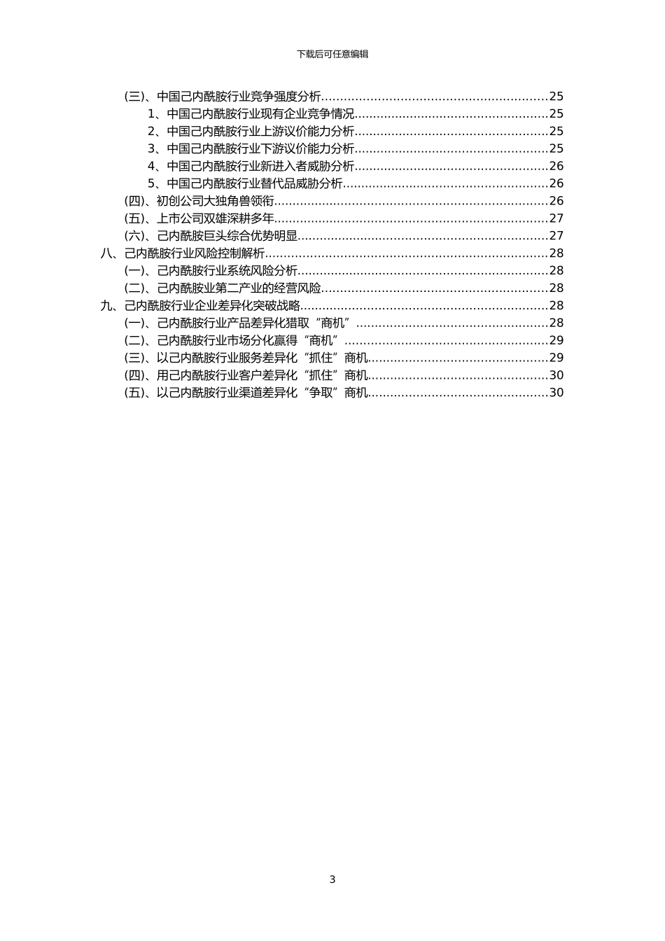 2024年己内酰胺行业市场突围建议及需求分析报告_第3页