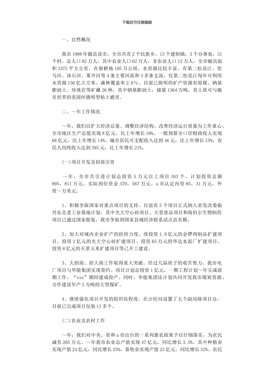 2024年市府工作总结及工作计划_第1页