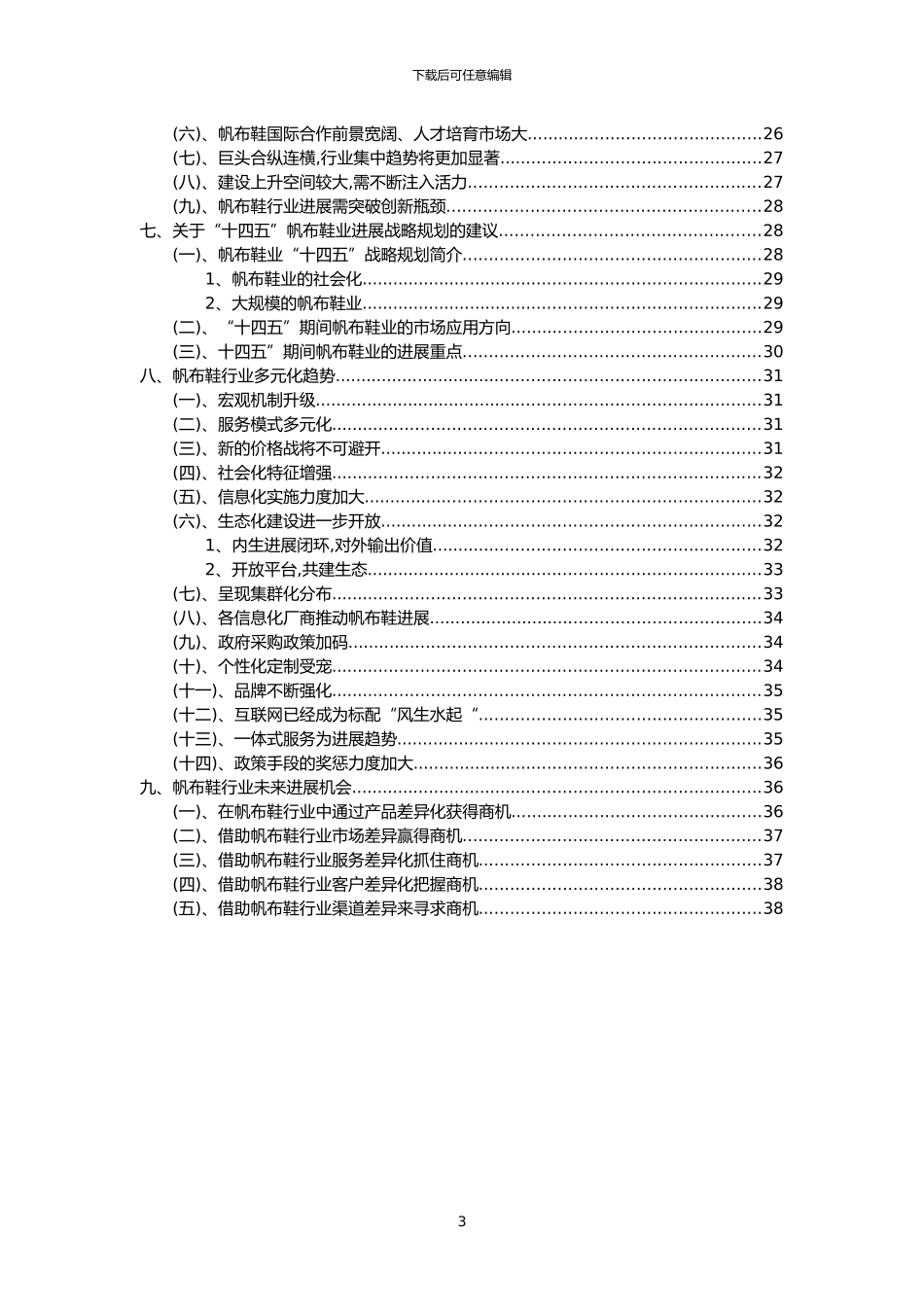 2024年帆布鞋行业洞察报告及未来五至十年预测分析报告_第3页