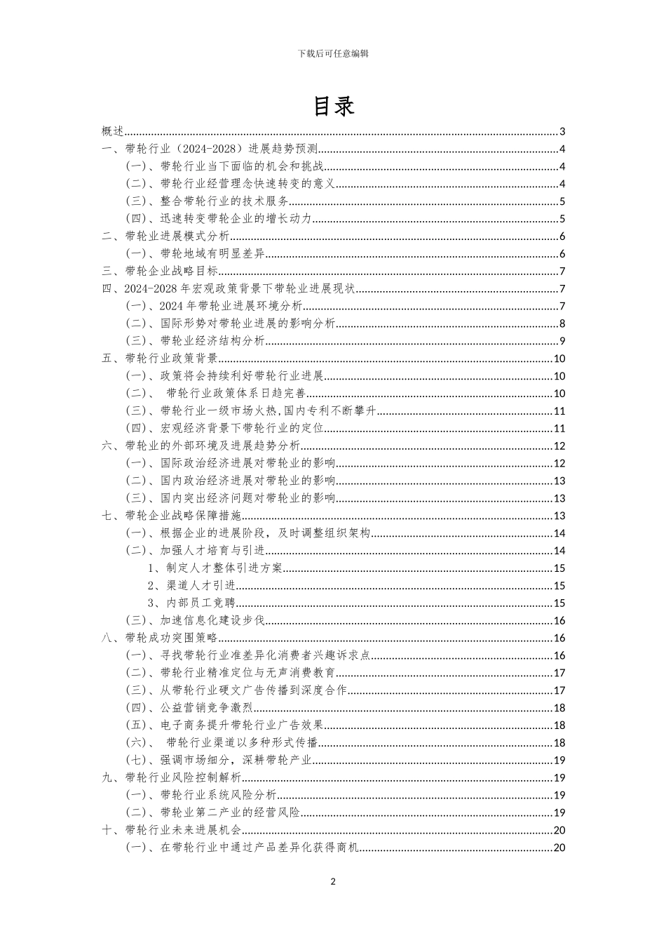 2024年带轮行业市场突围建议及需求分析报告_第2页