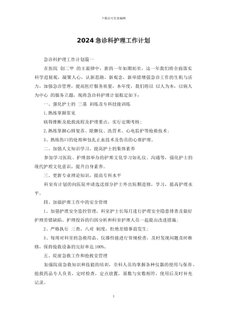2024急诊科护理工作计划
