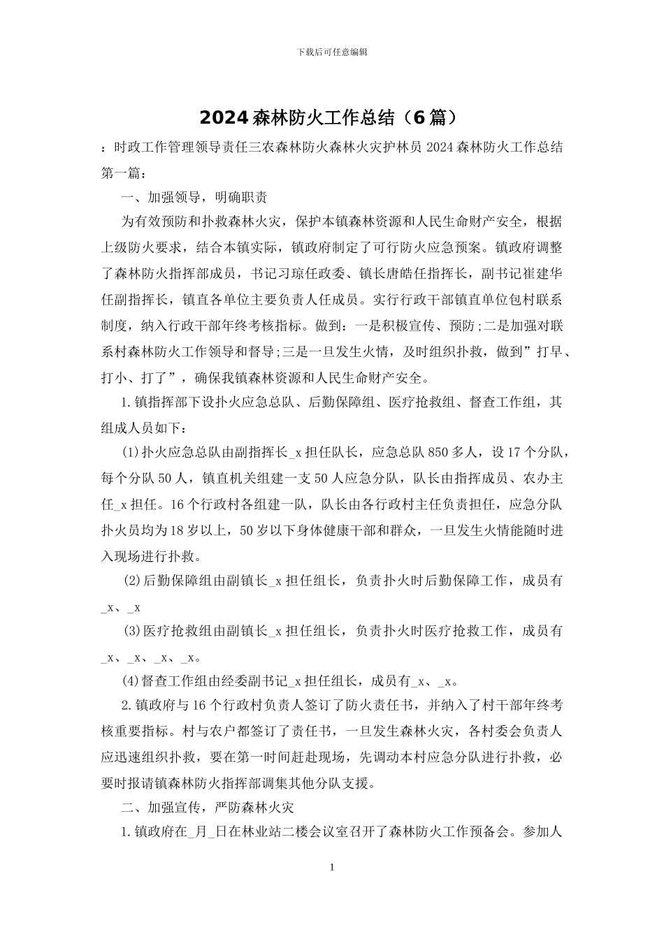 2024森林防火工作总结_第1页