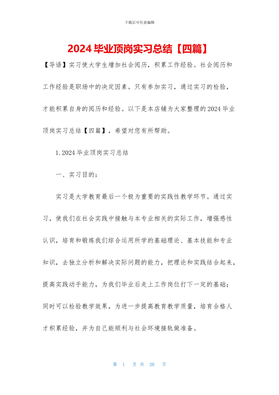 2024毕业顶岗实习总结_第1页