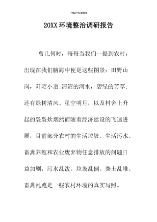 2024环境整治调研报告