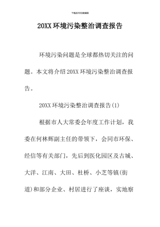 2024环境污染整治调查报告