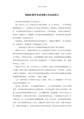 2024程序员试用期工作总结范文