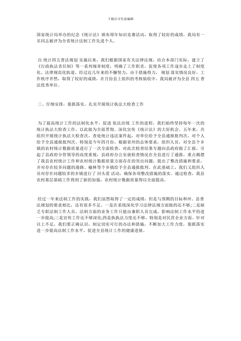 2024统计专干工作总结_第2页