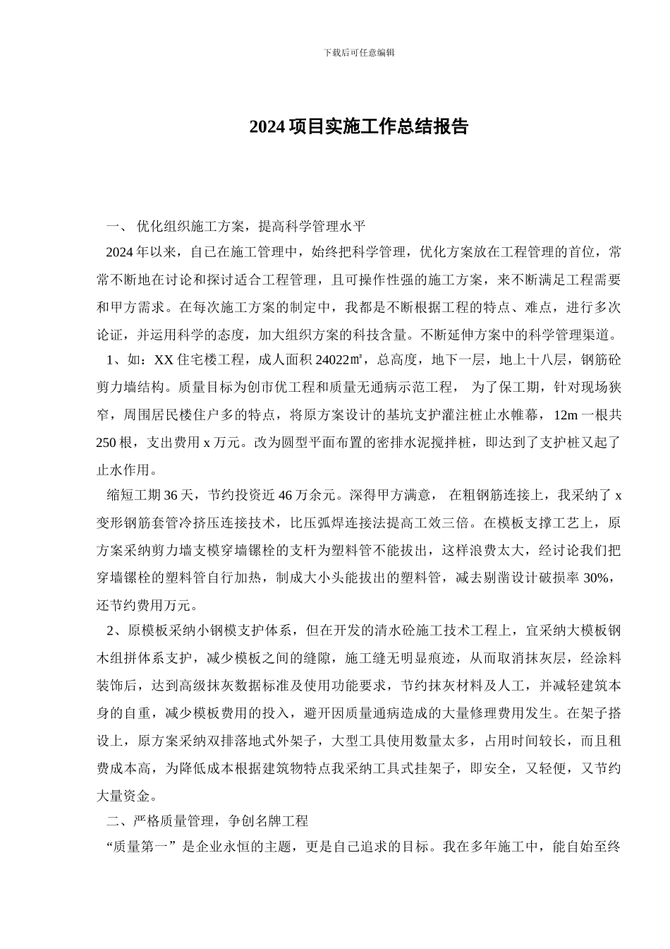 2024项目实施工作总结报告_第1页