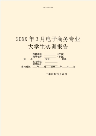 20XX年3月电子商务专业大学生实训报告