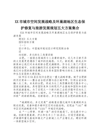 XX市城市空间发展战略及环巢湖地区生态保护修复与旅游发展规划五大方案集合