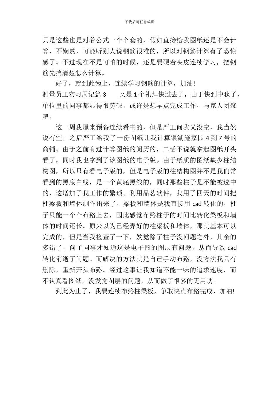 20XX年测量员工实习周记_第3页