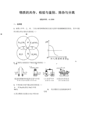 人教版九年级化学《物质的共存、检验与鉴别、除杂与分离》测试试题(含答案)