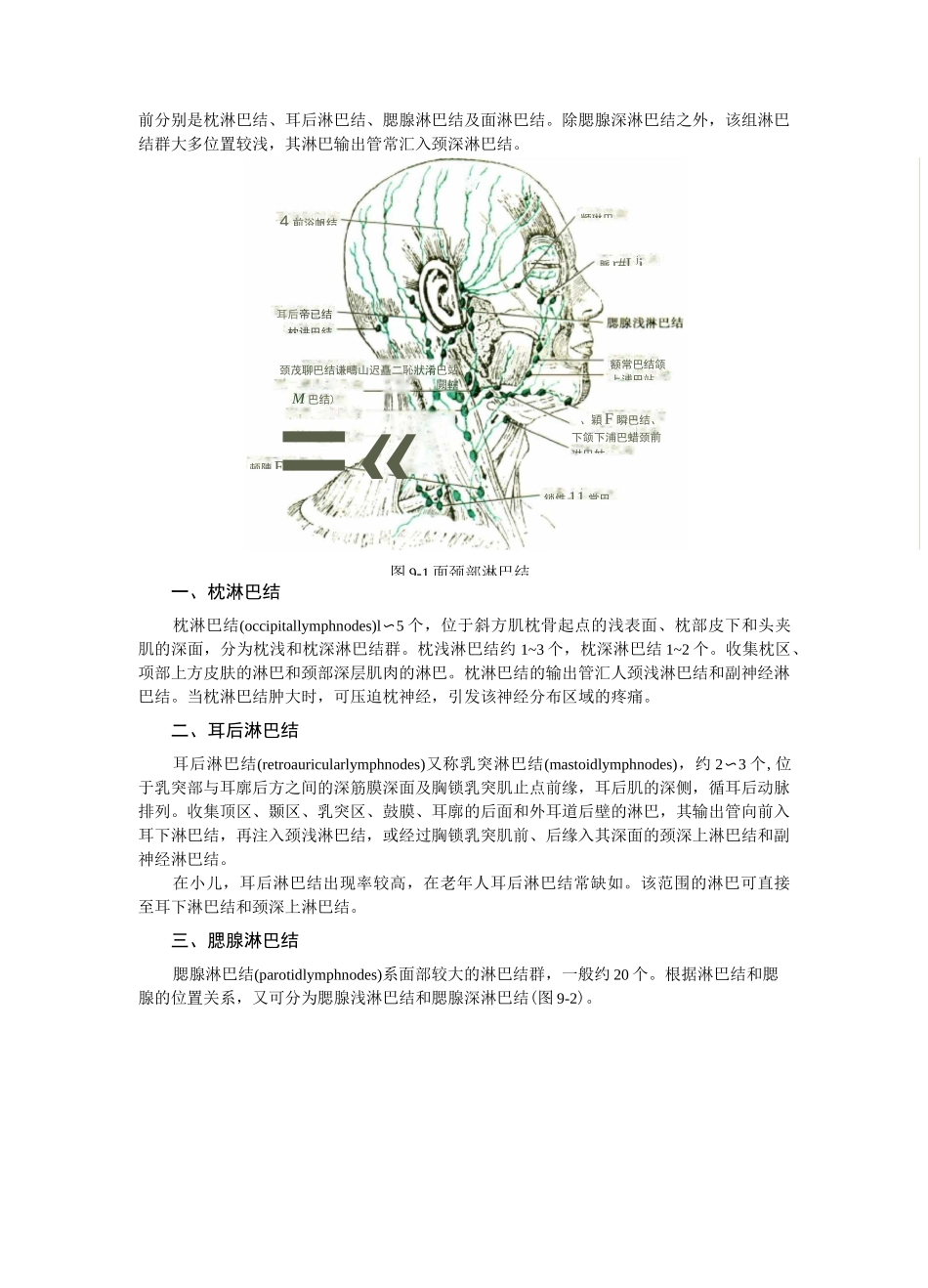 第九章  头颈部淋巴结和淋巴管_第2页