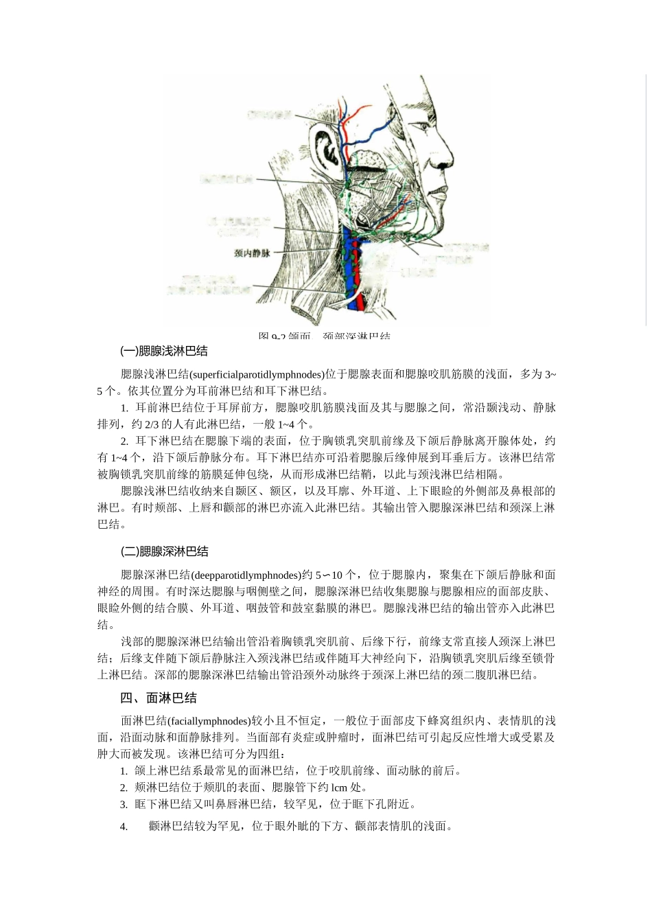 第九章  头颈部淋巴结和淋巴管_第3页