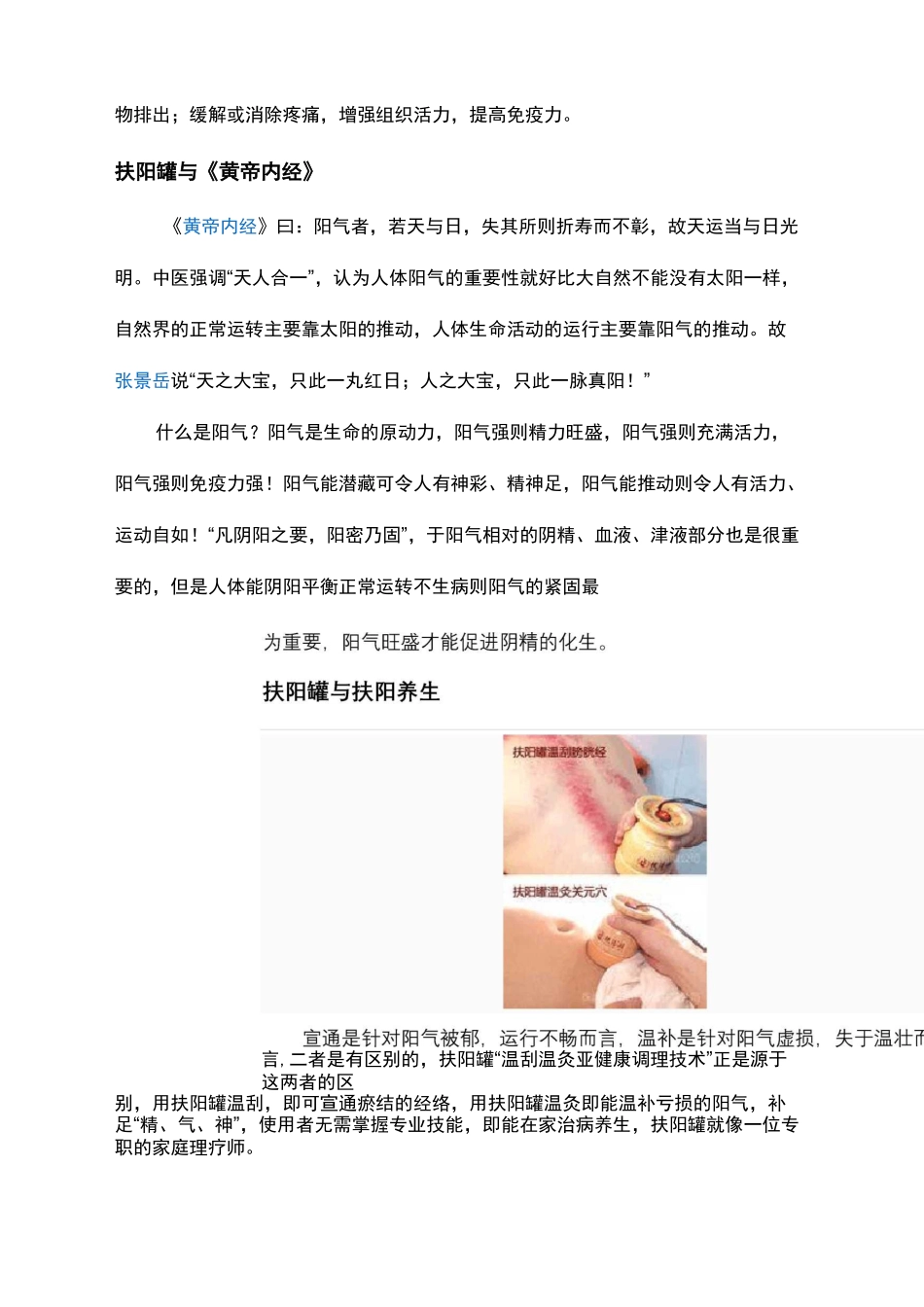扶阳罐的功用与适应症_第3页