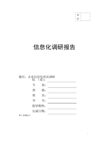 信息化调研报告