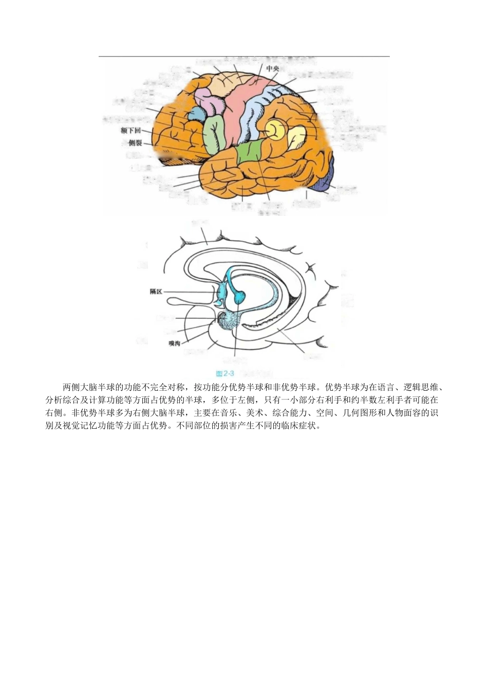 神经系统的解剖、生理及病损的定位诊断_第2页