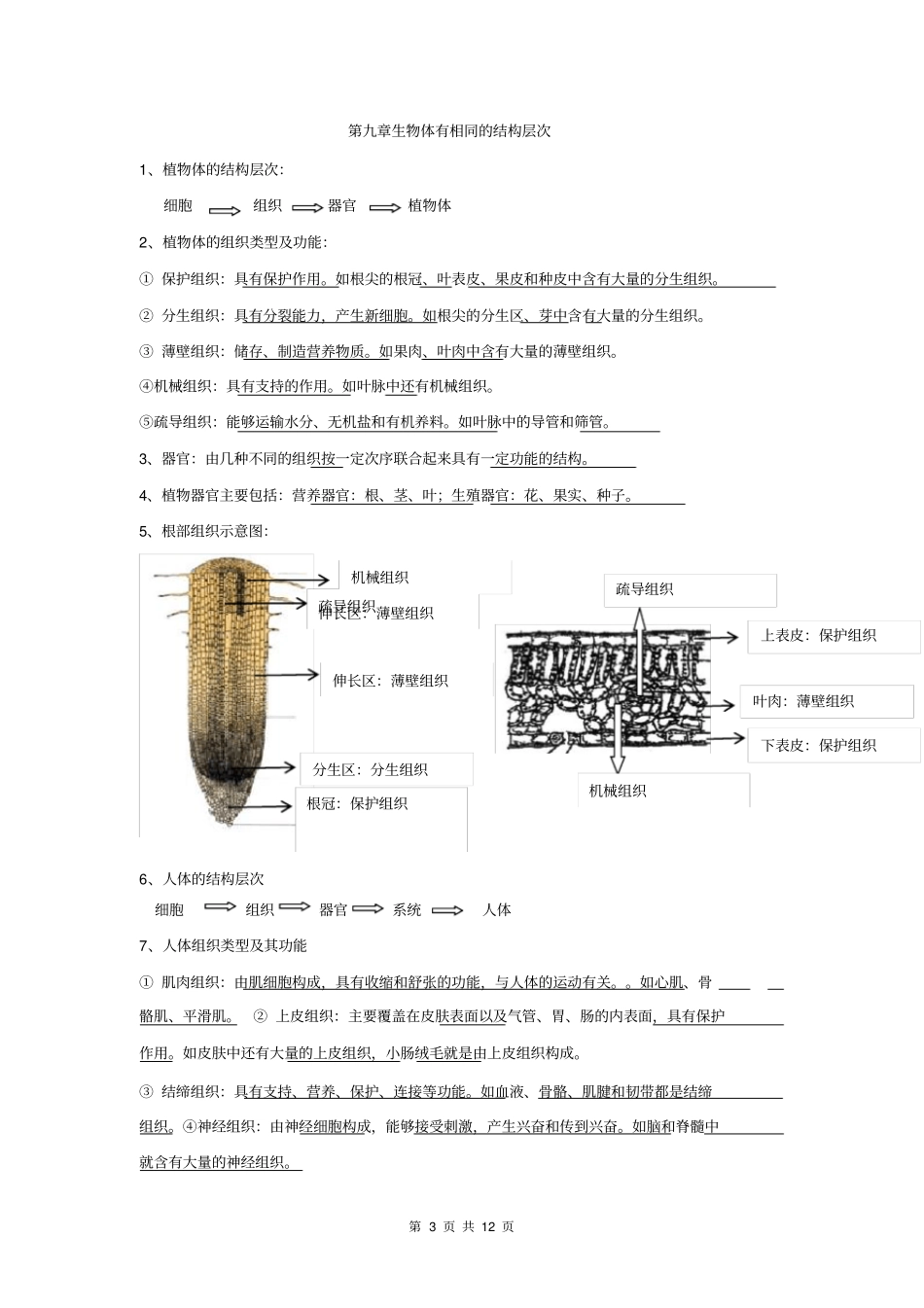 苏科版七年级下册知识点汇总_第3页
