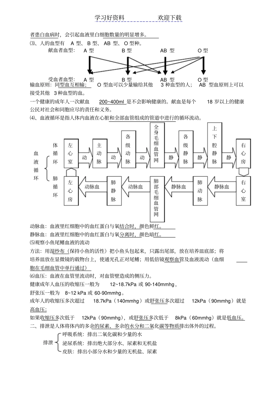 苏科版八年级上册生物复习提纲_第2页