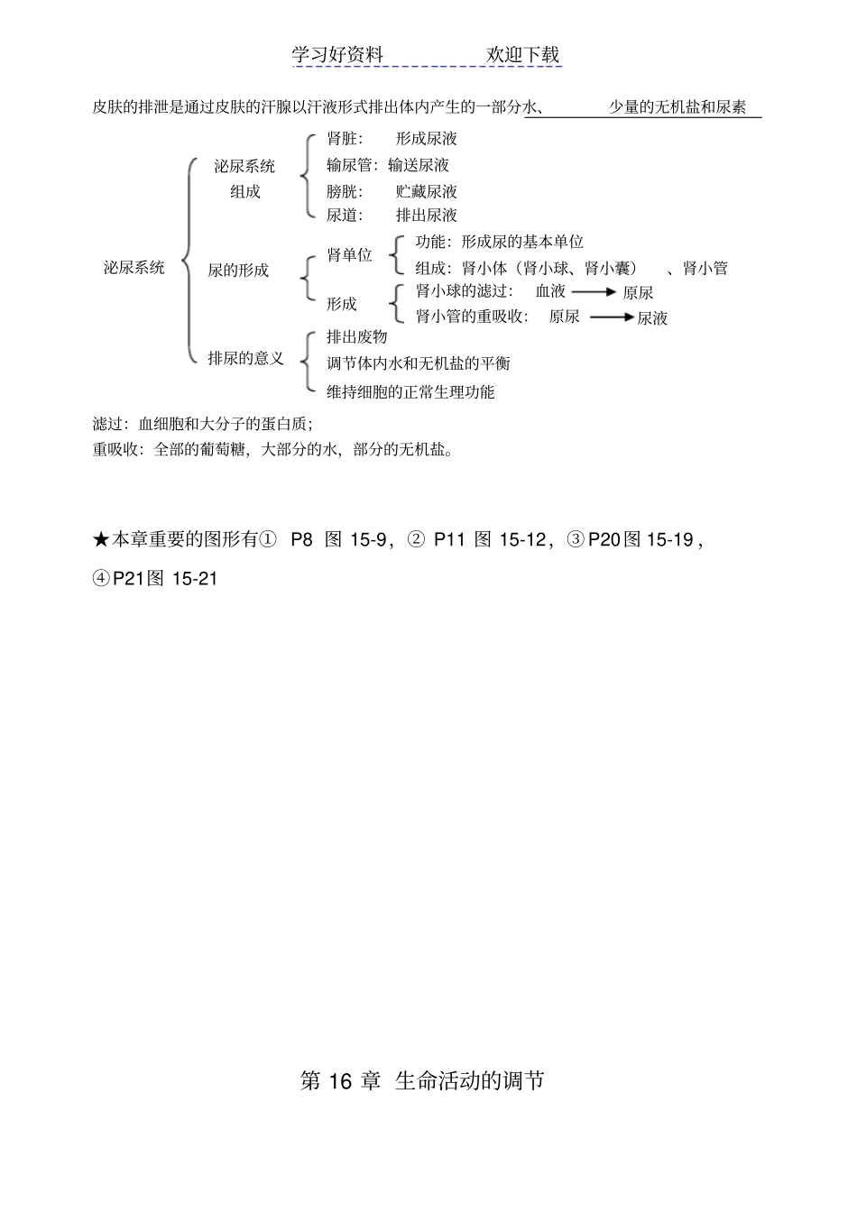 苏科版八年级上册生物复习提纲_第3页