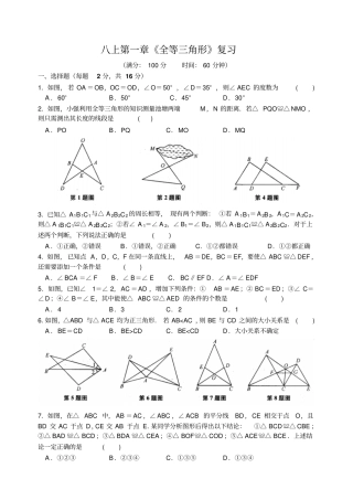 苏科版八年级数学上册全等三角形复习