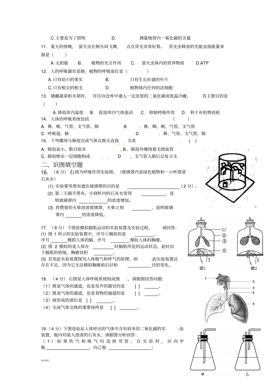 苏科版生物七上能量的释放与呼吸习题_第2页